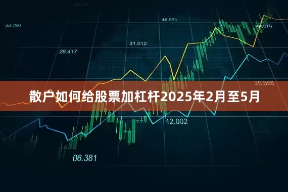 散户如何给股票加杠杆2025年2月至5月