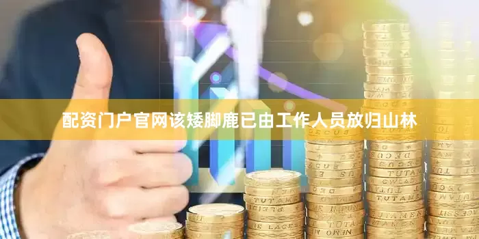 配资门户官网该矮脚鹿已由工作人员放归山林