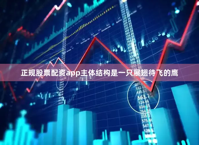 正规股票配资app主体结构是一只展翅待飞的鹰
