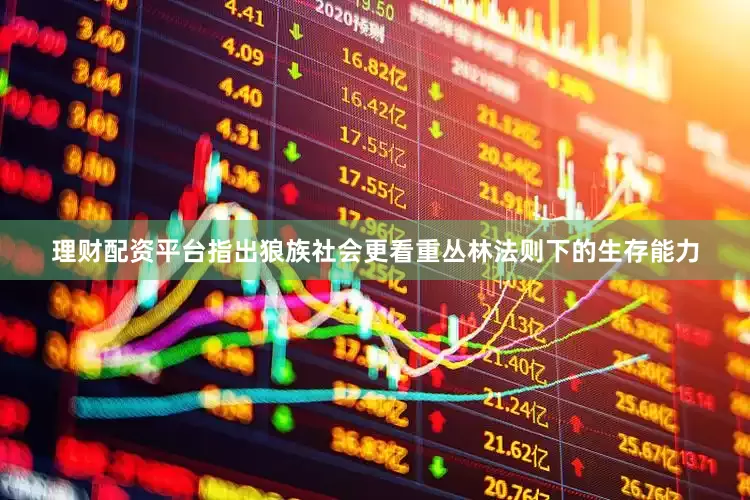 理财配资平台指出狼族社会更看重丛林法则下的生存能力